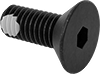 Flat Head Screws