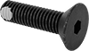 Flat Head Screws