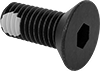 Flat Head Screws