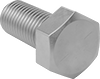 Hex Head Screws