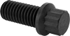 12-Point Screws