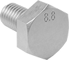 Hex Head Screws