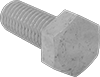 Hex Head Screws