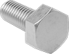 Stainless Steel Hex Head Screws