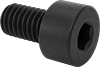 Socket Head Screws