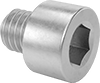 Stainless Steel Socket Head Screws