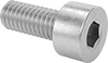 Stainless Steel Socket Head Screws
