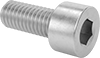 Stainless Steel Socket Head Screws
