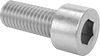 Stainless Steel Socket Head Screws