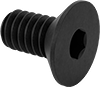Flat Head Screws