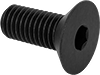 Flat Head Screws