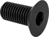 Flat Head Screws