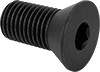 Flat Head Screws
