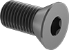 Flat Head Screws