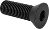 Flat Head Screws