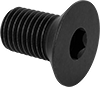Flat Head Screws