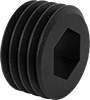 Steel Hollow-Tip Set Screws