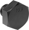 Hex Head Screws