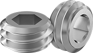 Image of Product. Front orientation. Set Screws. Stainless Steel Hollow-Tip Set Screws.