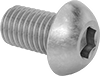 Rounded Head Screws