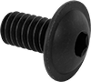 Rounded Head Screws