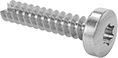 Image of Product. Front orientation. Tapping Screws. Stainless Steel Torx Rounded Head Thread-Cutting Screws for Plastic.