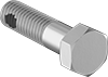 Hex Head Screws