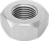 Hex Nuts