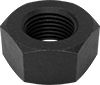 Hex Nuts
