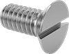 Flat Head Screws