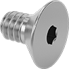 Flat Head Screws
