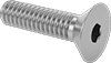 Flat Head Screws