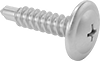 Tapping Screws