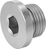 Pipe Plugs