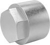 Pipe Caps