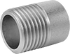 Standard-Wall Stainless Steel Threaded Pipe Nipples and Pipe