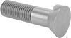 Plow Bolts