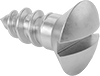 Stainless Steel Slotted Oval Head Wood Screws