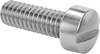 Stainless Steel Fillister Head Slotted Screws