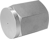 Precision High-Pressure Brass and Bronze Threaded Pipe Fittings
