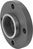 Thick-Wall Plastic Pipe Flanges for Water