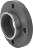 Thick-Wall Plastic Pipe Flanges for Water