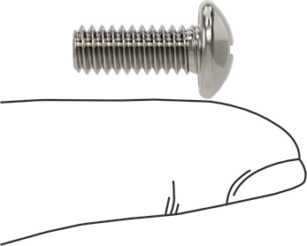 Image of Product. Side1 orientation. Contains SizingReference. Passivated 18-8 Stainless Steel Pan Head Phillips Screw, 1/4"-20 Thread, 5/8" Long.