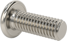 Image of Product. Back orientation. Passivated 18-8 Stainless Steel Pan Head Phillips Screw, 10-32 Thread, 1/2" Long.