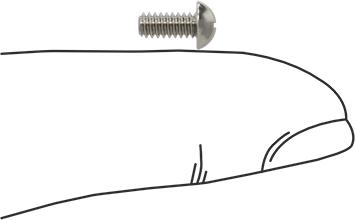 Image of Product. Side1 orientation. Contains SizingReference. Stainless Steel Decorative Round Head Phillips Screws, 4-40 Thread Size, 1/4" Long.