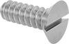 Flat Head Screws