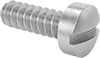 Stainless Steel Fillister Head Slotted Screws