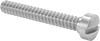 Stainless Steel Fillister Head Slotted Screws