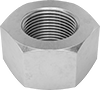 Hex Nuts