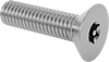 Flat Head Screws